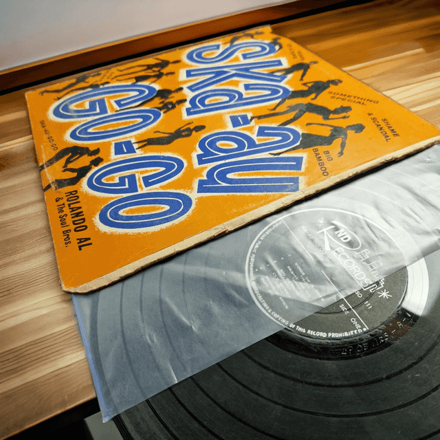 347553109_3476005352658544_5831334501844109336_n 300 Sous Pochettes Vinyles (PE-HD) 33T/LP (12″) (127Micron)